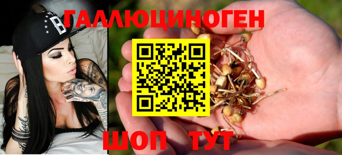 что такое наркотик  Вход с VPN  Псилоцибиновые грибы Psilocybe  Кимовск  Псилоцибиновые грибы Cubensis 